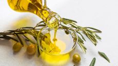 olive oil unsaturated fat