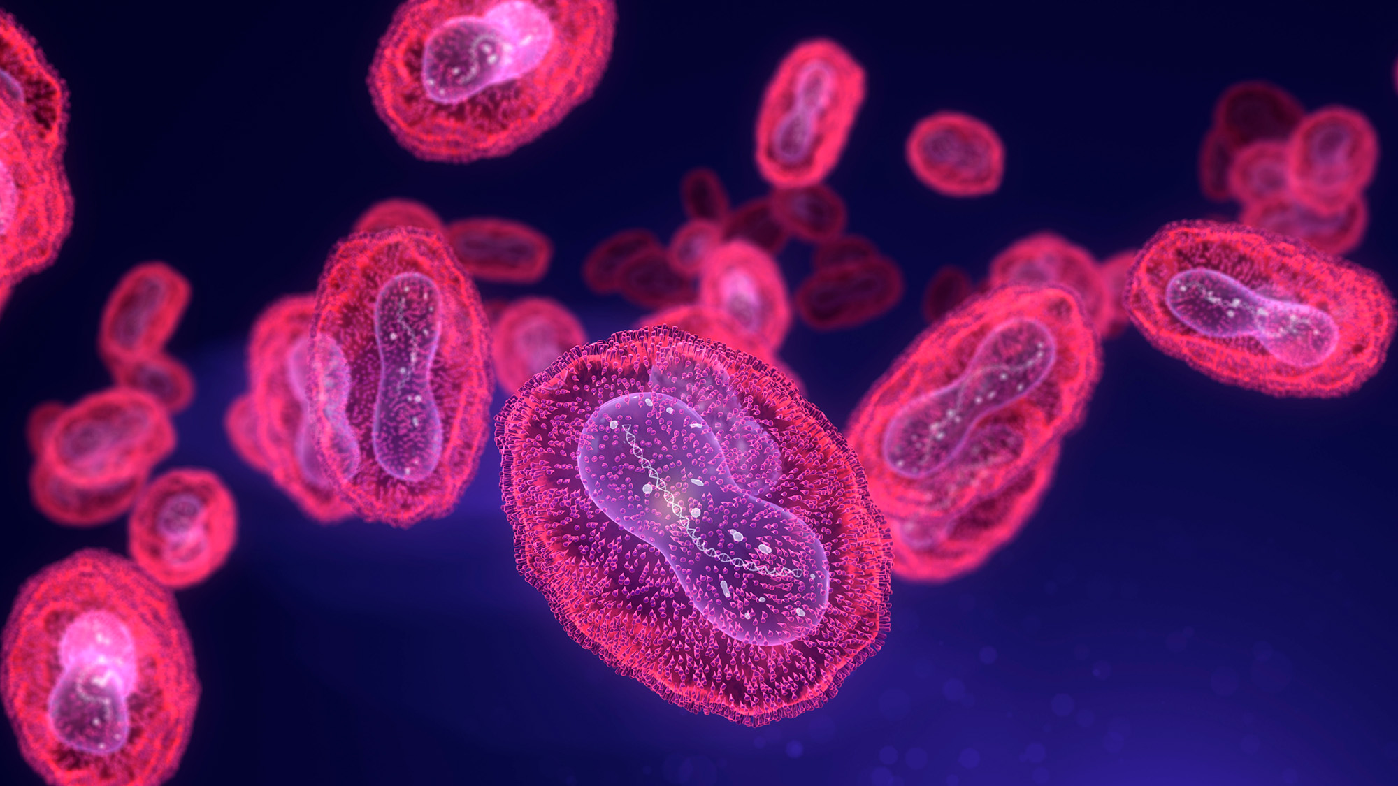 An illustration of a series of pink viruses in front of a blue background