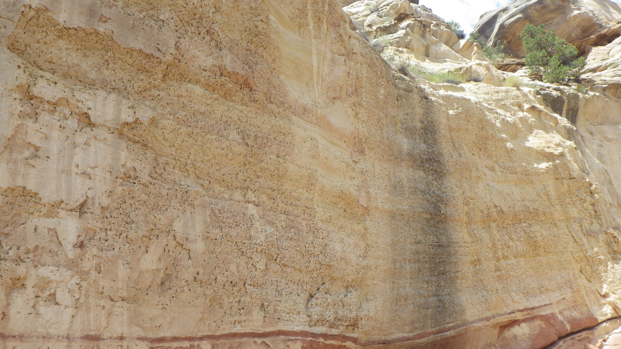 sandstone bee nests