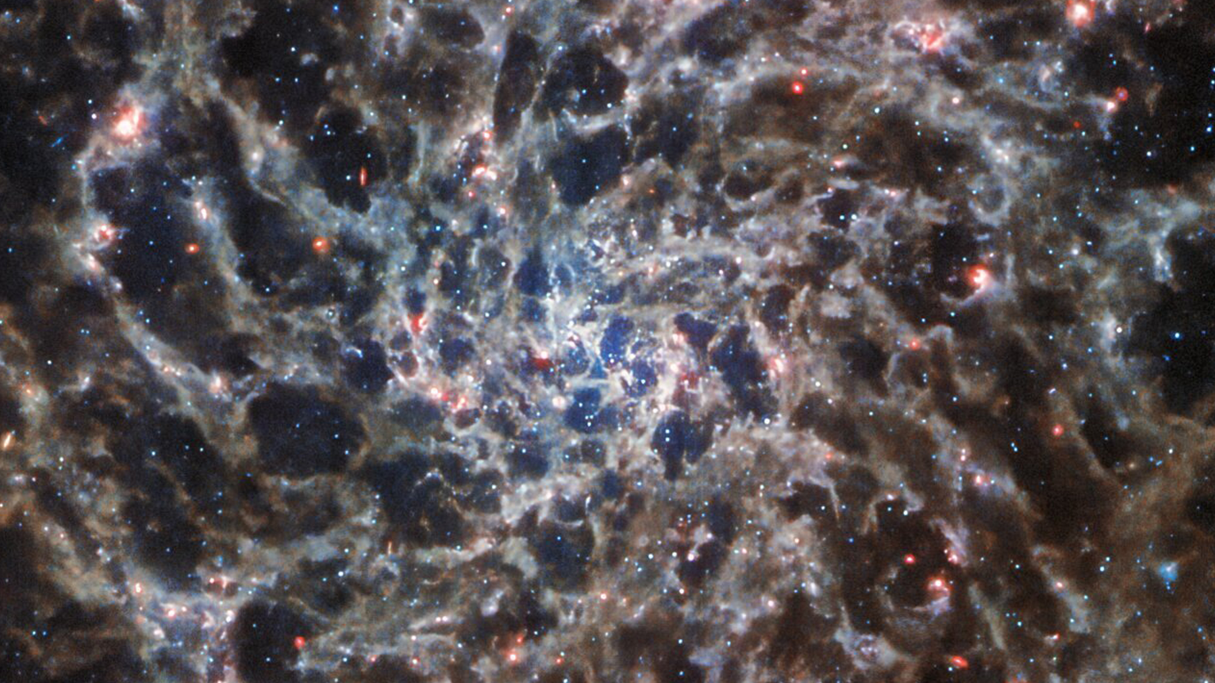 The spiral galaxy IC 5332