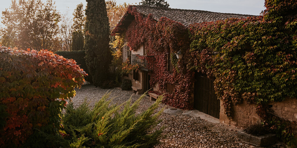 vinedos-del-contino