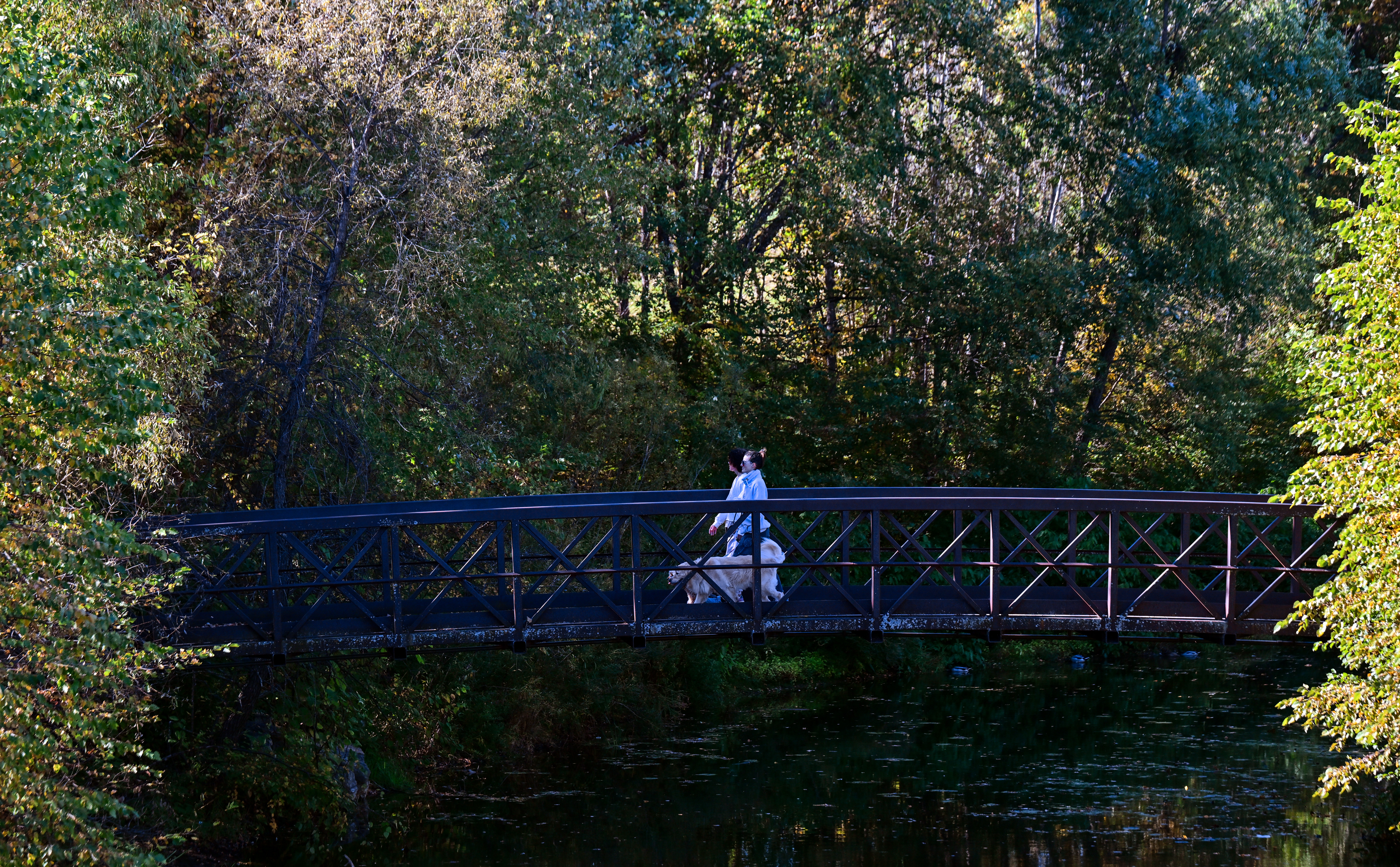 STP-L- WARM-1008 A person walks a dog on a pedestrian bridge.