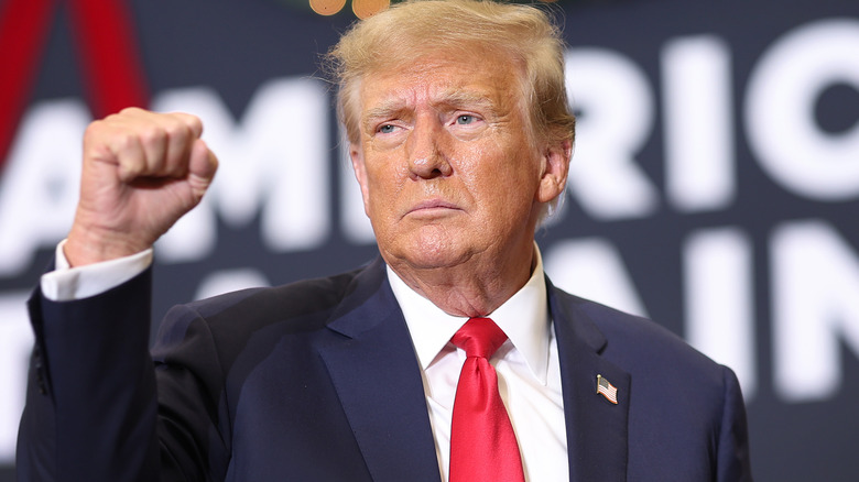 Donald Trump with fist raised