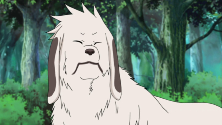 Naruto Akamaru fully grown